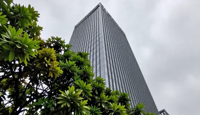 财税咨询在企业运营中的使用建议与发展趋势
